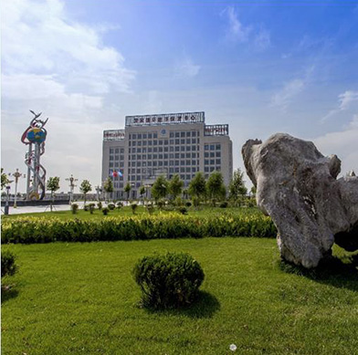 Cangzhou Wisdom Pharma Co., Ltd.